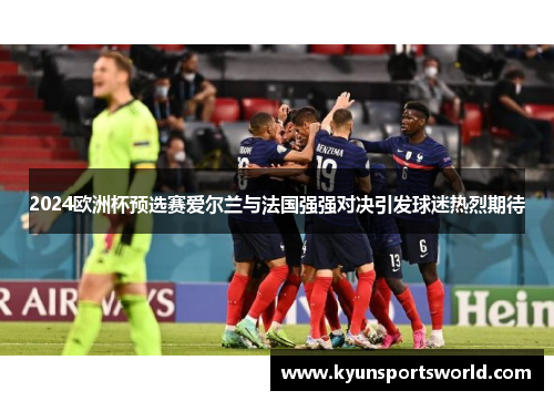 2024欧洲杯预选赛爱尔兰与法国强强对决引发球迷热烈期待