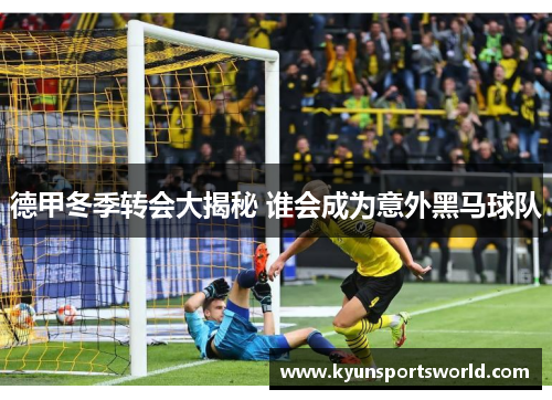 德甲冬季转会大揭秘 谁会成为意外黑马球队